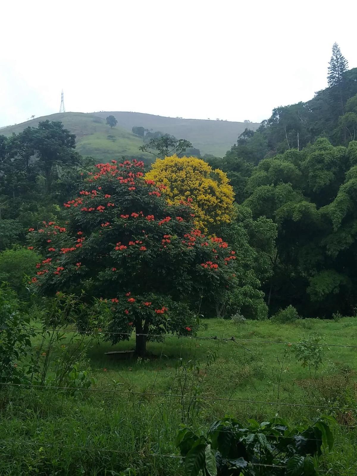 Fazenda Piloes Villa Petrópolis Exteriör bild