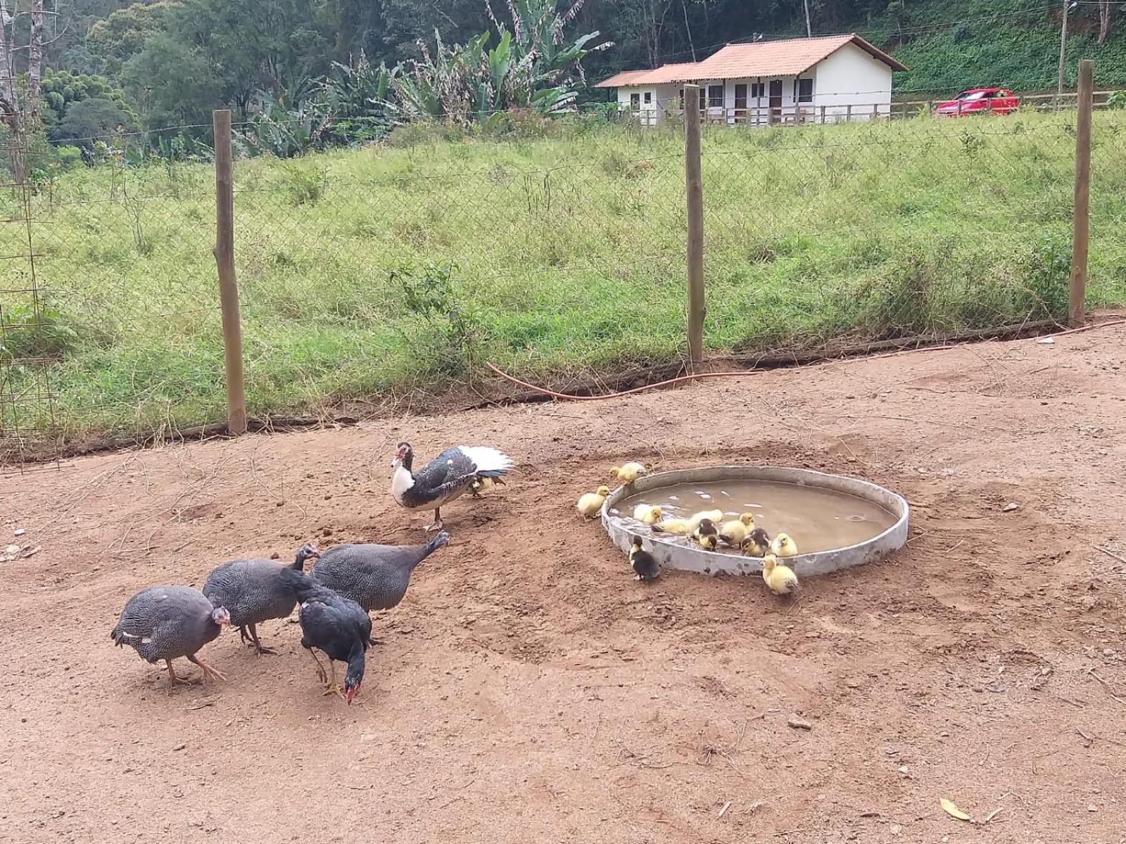 Fazenda Piloes Villa Petrópolis Exteriör bild